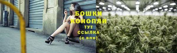 крисы Володарск
