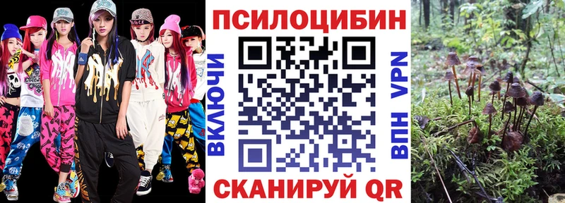 Купить закладки  Мелеуз  Галлюциногенные грибы Magic Shrooms 